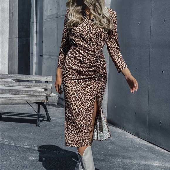 Shein Leopard Print Ruched Dress - Picture 1 of 10